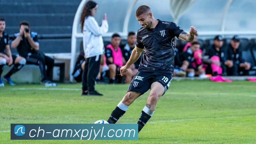 澳门新葡京娱乐平台生态图