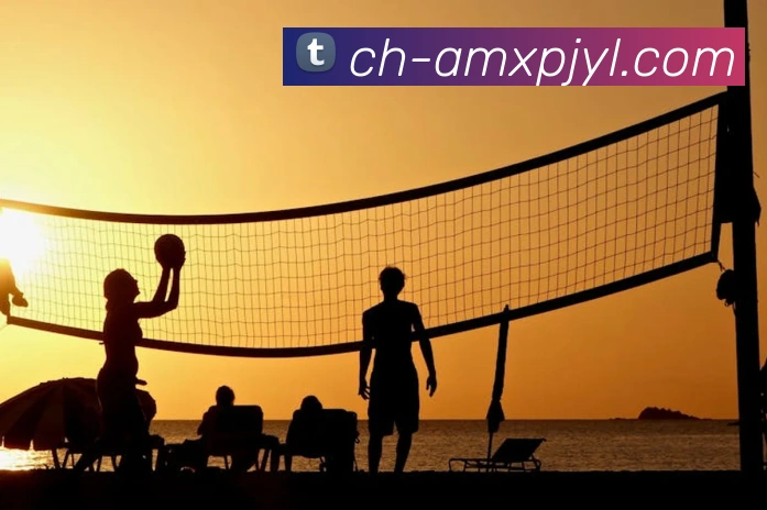 澳门新葡京娱乐APP 封面图